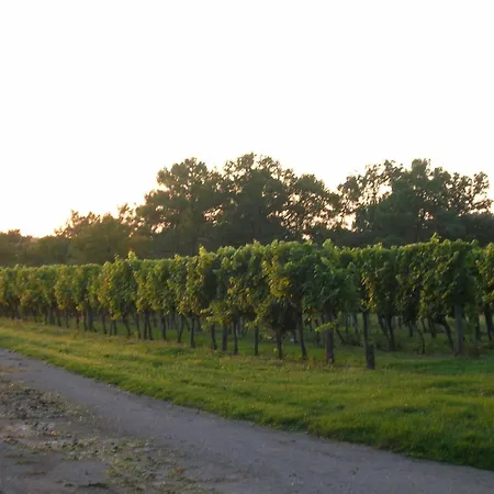 Hébergement de vacances Les Vendanges *